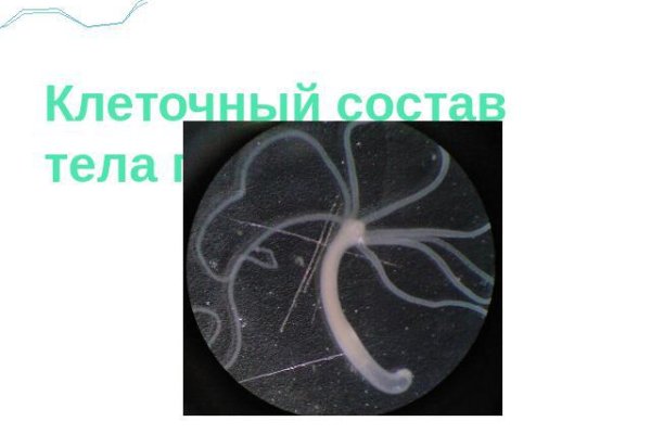 Кракен сайт тор ссылка