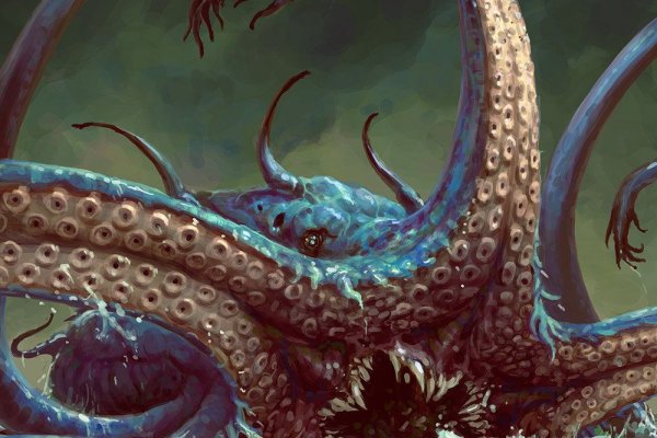 Как найти kraken