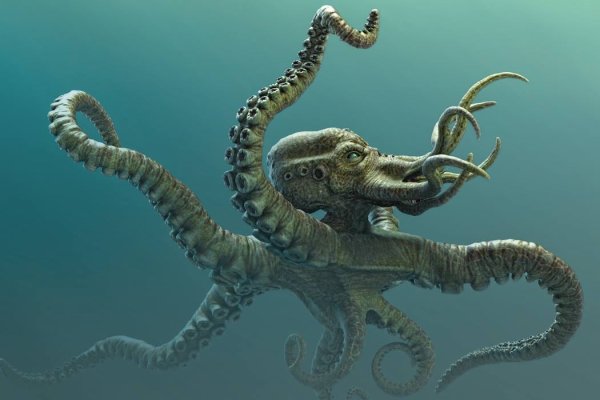 Кракен даркнет kraken link24 info