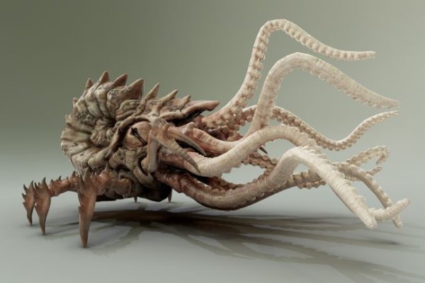 Кракен магазин kraken clear com