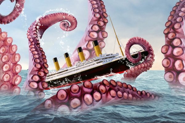 Kraken 24 top
