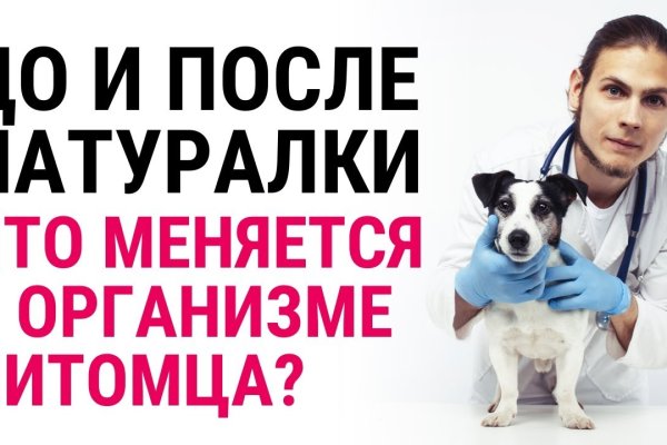 Кракен даркнет площадка ссылка